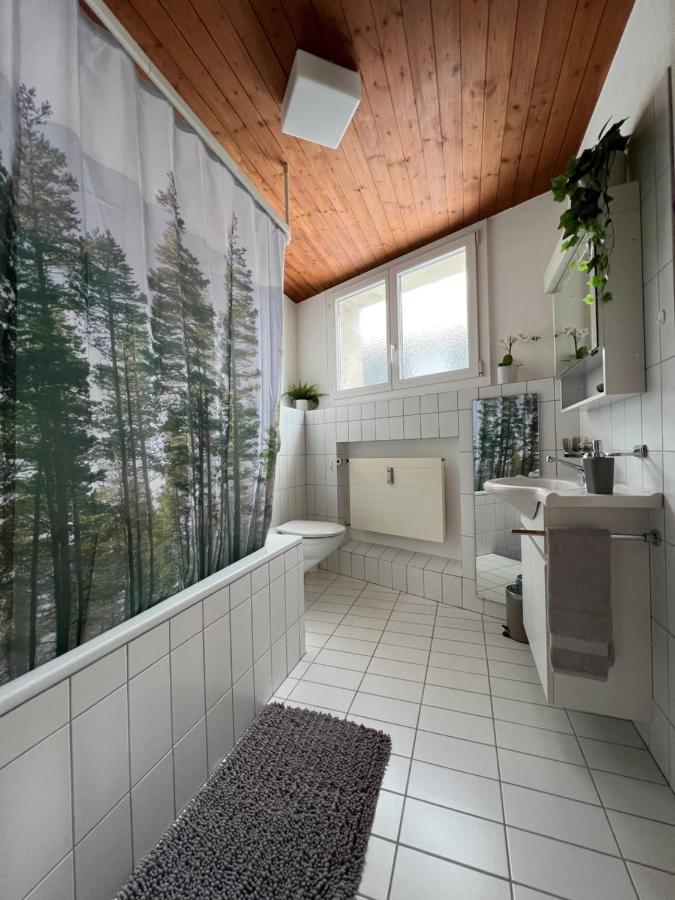 Ferienwohnung Dorfzentrum Disentis Exteriör bild